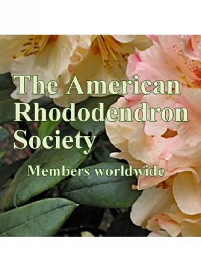 American Rhododendron Society